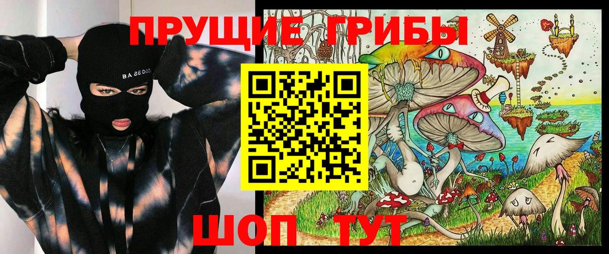 Псилоцибиновые грибы Psilocybe Астрахань
