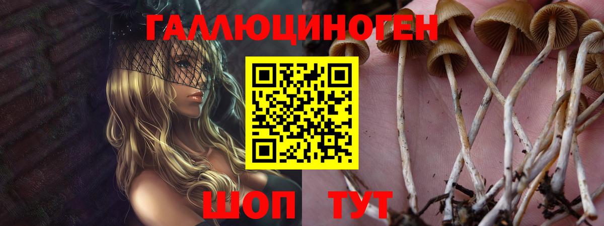 Псилоцибиновые грибы мухоморы  Вход с VPN  Астрахань 